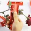 Combo 5 Kìm Tuốt Gai Hoa Hồng ,Tuốt Lá Hoa Siêu Tiện Lợi-Kim Loại-Dày Sịn, Handmade, Diy DUHA 033