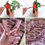 Combo 5 Kìm Tuốt Gai Hoa Hồng ,Tuốt Lá Hoa Siêu Tiện Lợi-Kim Loại-Dày Sịn, Handmade, Diy DUHA 033