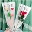 Set 100 Túi Xách Tam Giác Thủng Đựng Bó Hoa Lớn Kích Thước 45x27x7cm DUHA 086