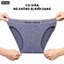 Quần sịp Mentoris Regular Fit trẻ trung ôm vừa văn cơ thể, tạo cảm giác thoải mái
