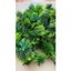 500g Cỏ Tùng Cỏ Thông Cành Lá Điểm ,Cỏ Điểm Dài 75cm Nhiều Mẫu ,Trang Trí ,Decor DUHA 105