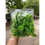 500g Cỏ Tùng Cỏ Thông Cành Lá Điểm ,Cỏ Điểm Dài 75cm Nhiều Mẫu ,Trang Trí ,Decor DUHA 105