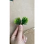 500g Cỏ Tùng Cỏ Thông Cành Lá Điểm ,Cỏ Điểm Dài 75cm Nhiều Mẫu ,Trang Trí ,Decor DUHA 105