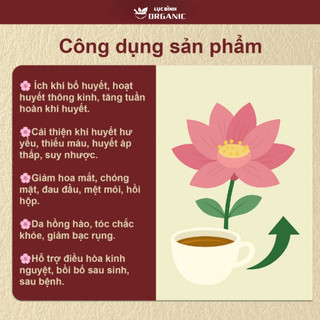 Trà Dưỡng Khí Huyết 10 Vị Bổ khí - LụcBìnhOrganic - sinh huyết, tăng tuần hoàn, giảm mệt mỏi, da hồng hào, tóc khỏe