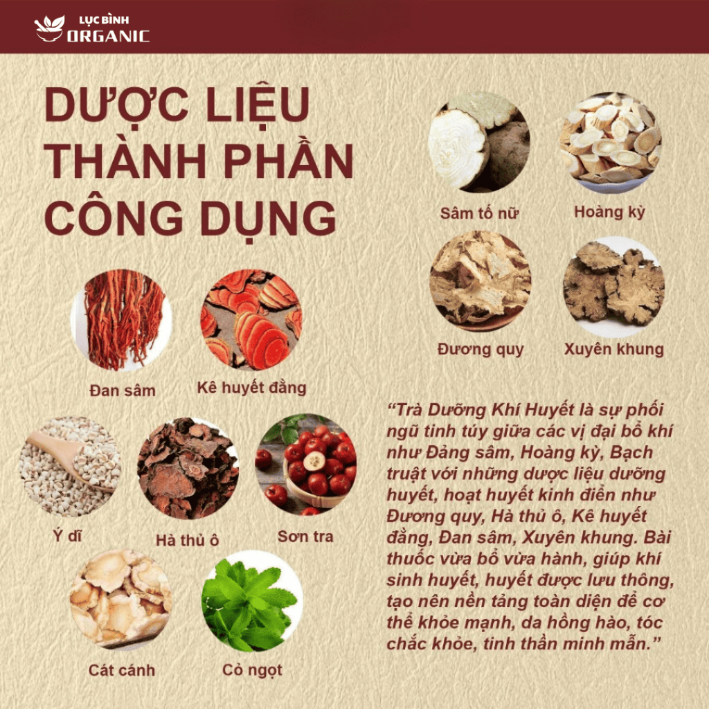 Trà Bổ Khí Huyết - 10 Vị Thảo Mộc Nuôi Dưỡng Cơ Thể, Tăng Tuần Hoàn, Giảm Mệt Mỏi, Giúp Da Tươi Sáng, Tóc Chắc Khỏe