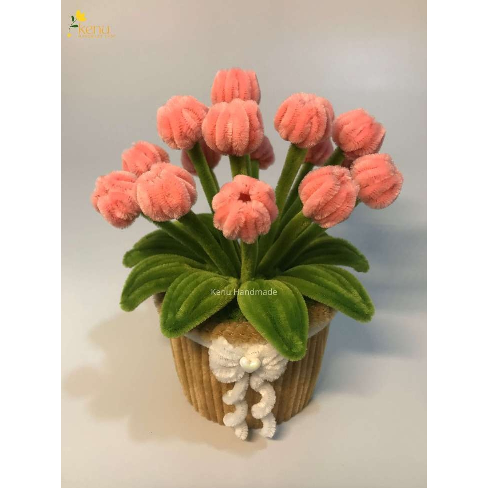Chậu hoa tulip kẽm nhung mini dùng để decor bàn học, bàn làm việc, quà tặng người yêu