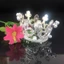 Combo 10 Vương Miện Mini Đính Ngọc Trai Trang Trí Bánh Kem Sinh Nhật, Decor, Trang Trí Hoa DUHA 091