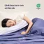 Chăn lạnh ZenCool Sen Đá Home Bedding 1m6x2m 2mx2m2, mền điều hòa nhiệt độ mát lạnh mùa hè Cooling comforter
