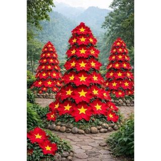 Hoa Vải Đỏ Sao Vàng Hoa Trang Trí Dán Tường, Decor Sự Kiện, Lễ Hội, Kỉ Niệm 30/4