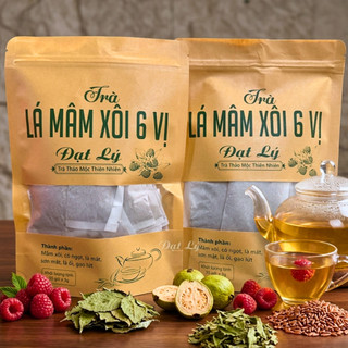 Trà lá mâm xôi 6 vị túi 35 gói lọc vị tự nhiên thanh mát