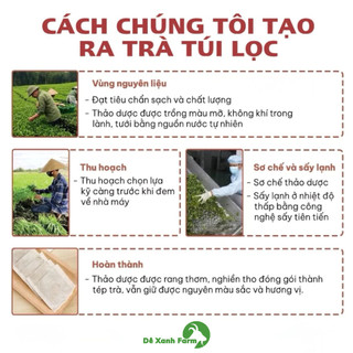 Trà lá mâm xôi 6 vị túi 35 gói lọc vị tự nhiên thanh mát