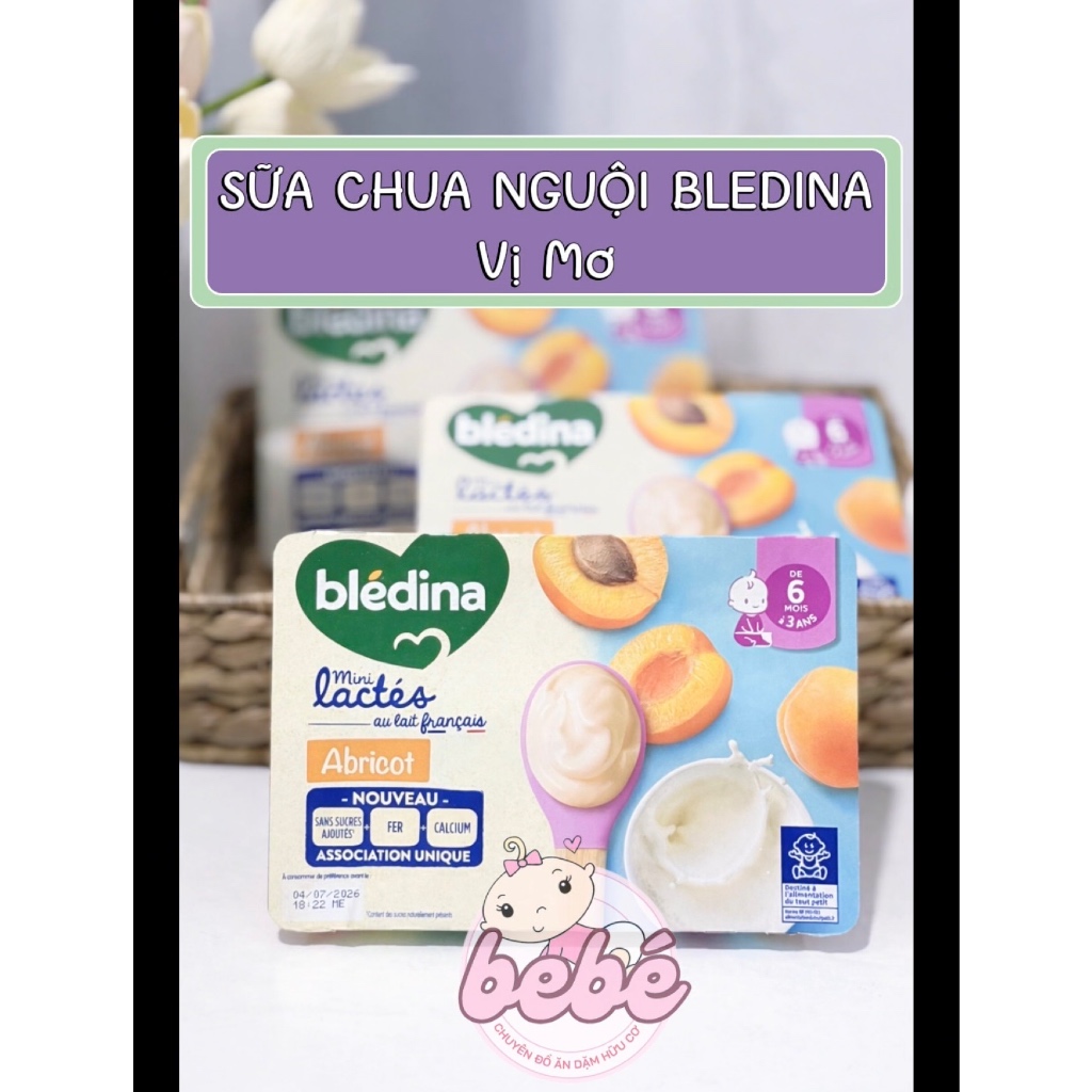 Sữa chua nguội Blédina Pháp cho bé ăn dặm từ 6 tháng bổ sung dưỡng chất toàn diện - 6 hộp x 55g