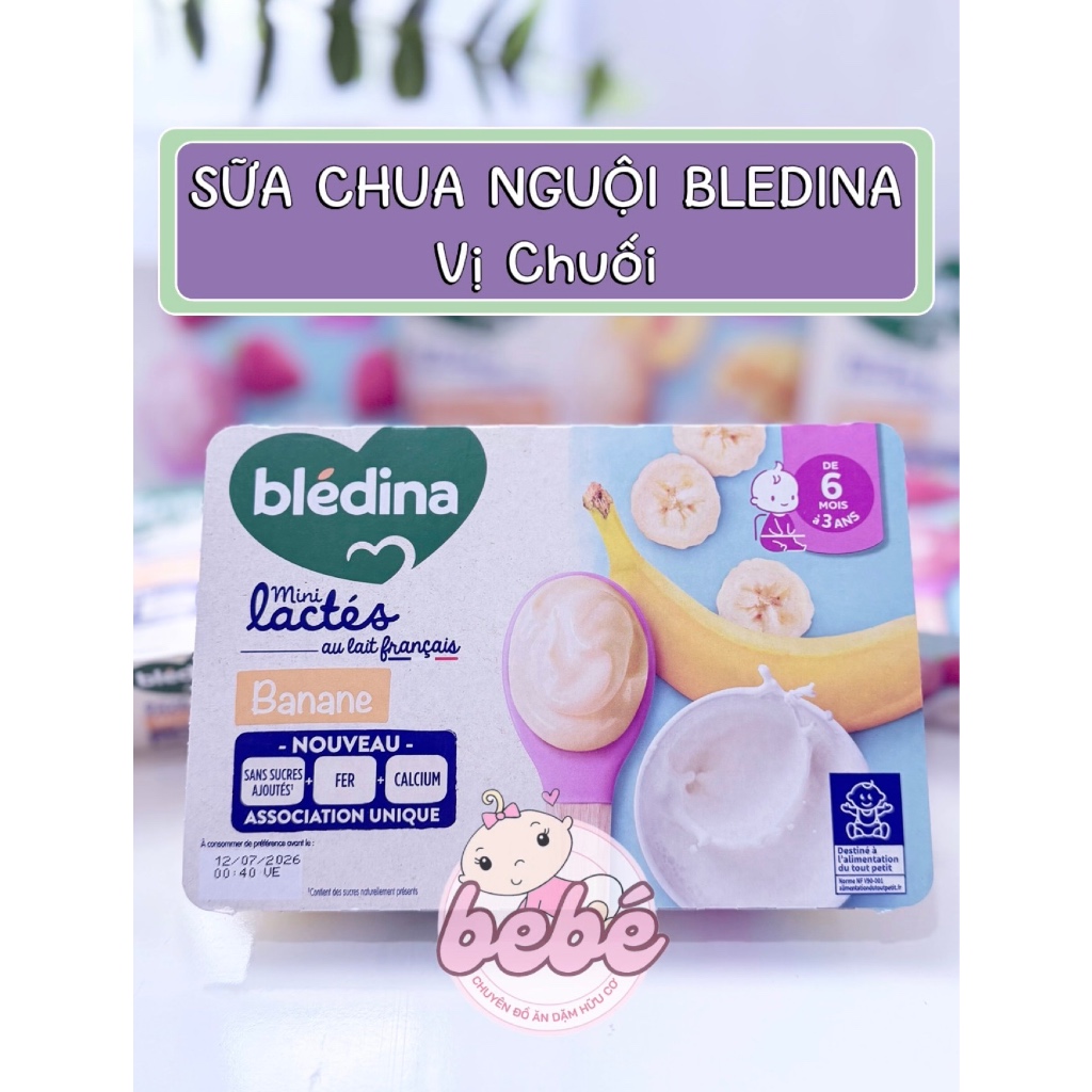 Sữa chua nguội Blédina Pháp cho bé ăn dặm từ 6 tháng bổ sung dưỡng chất toàn diện - 6 hộp x 55g