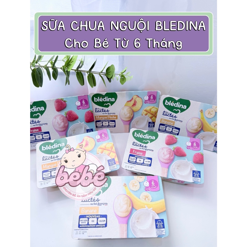 Sữa chua nguội Blédina Pháp cho bé ăn dặm từ 6 tháng bổ sung dưỡng chất toàn diện - 6 hộp x 55g