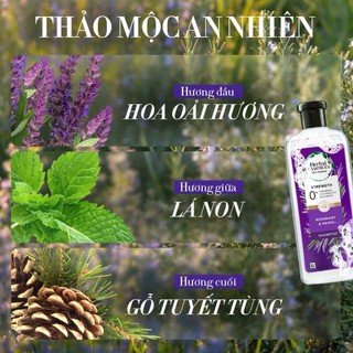 Combo Dầu Gội, Dầu Xả Thiên Nhiên Herbal Essences Giảm Gãy Rụng Với Hương thảo & Thảo mộc 400ml