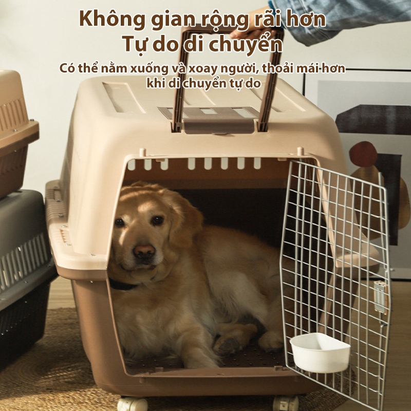 Lồng vận chuyển thú cưng bằng đường hàng không, lồng vận chuyển chó mèo, thùng vận chuyển thú cưng.