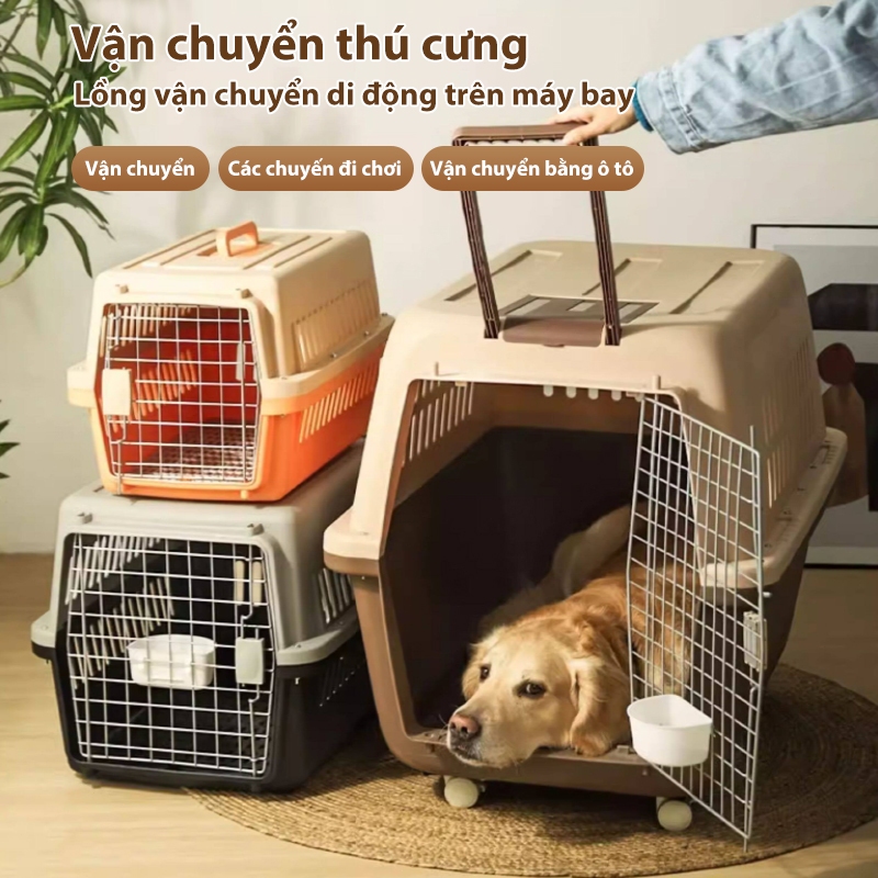 Lồng vận chuyển thú cưng bằng đường hàng không, lồng vận chuyển chó mèo, thùng vận chuyển thú cưng.