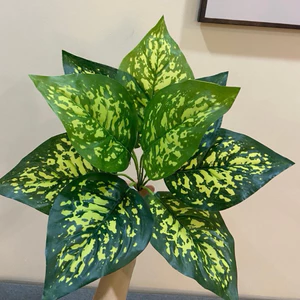 Cây giả - cây lá đốm 30cm/40cm