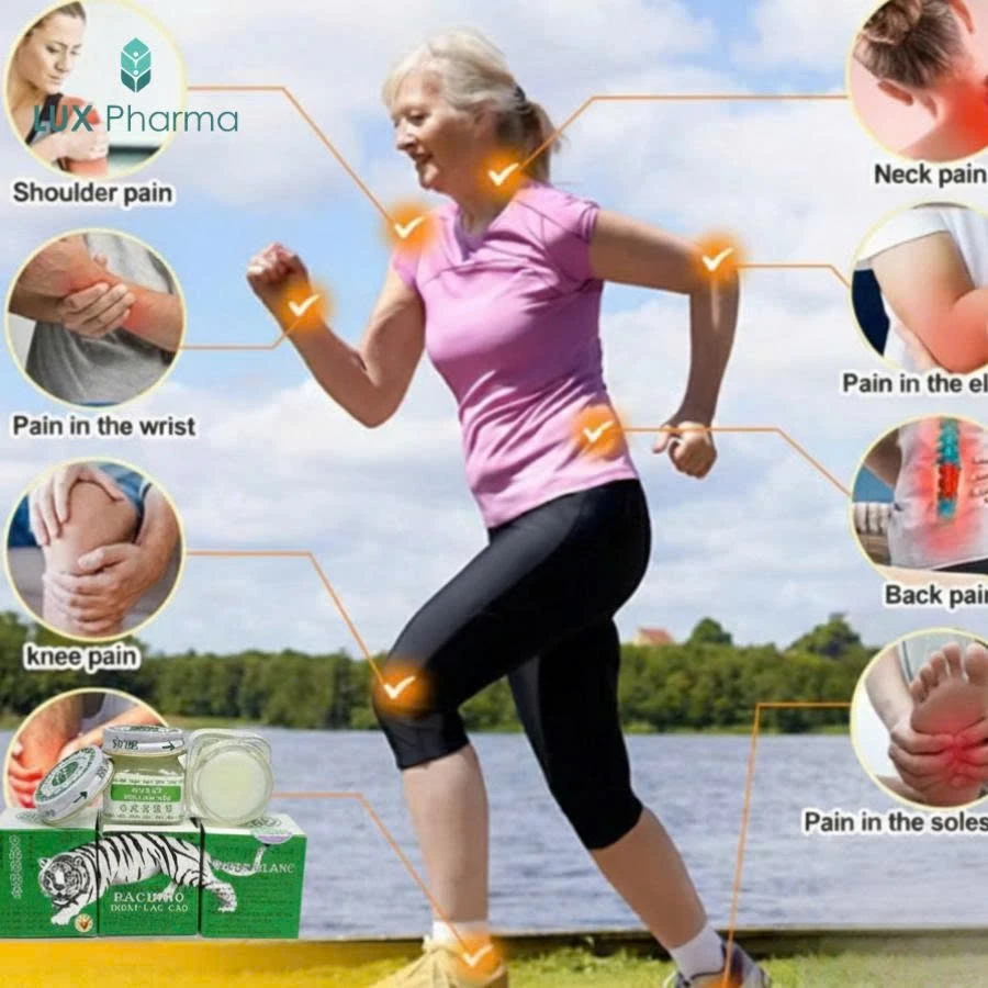 (GIÁ SỈ) Cao xoa bóp Bạch Hổ Hoạt Lạc Cao chính hãng, Giảm đau nhức cơ và xương khớp (hũ 20g) Bảo linh