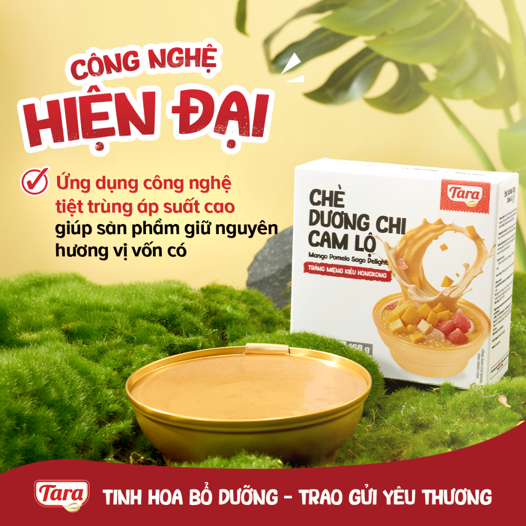[NEW] Chè Dương Chi Cam Lộ I TARA