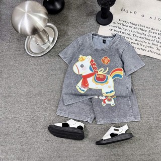 combo 2 bộ ngựa ngũ sắc mẫu mới cho bé trai 6-18kg