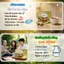 Trà Gừng Sả AMMU Hộp 20 Túi Lọc - giúp giữ ấm cơ thể