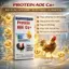 Protein B12 Nhân Sâm 250ml Dinh Dưỡng Nuôi Gà Đỏ Khỏe, Tăng Cơ Nở Khung, Sung Hừng Cự Mạnh