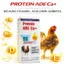 Protein B12 Nhân Sâm 250ml Dinh Dưỡng Nuôi Gà Đỏ Khỏe, Tăng Cơ Nở Khung, Sung Hừng Cự Mạnh