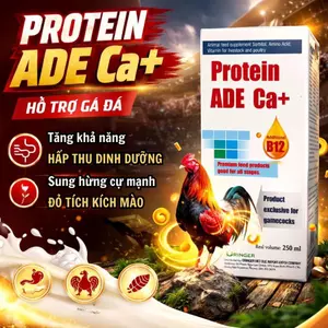 Protein B12 Nhân Sâm 250ml Dinh Dưỡng Nuôi Gà Đỏ Khỏe, Tăng Cơ Nở Khung, Sung Hừng Cự Mạnh
