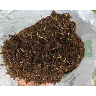 Đất Sạch Làm Nông Phố Cao Cấp (8 Thành Phần Trộn) Giàu Dinh Dưỡng Trồng Ngay Không Cần Phối Thêm 40Dm3