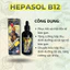 HEPASOL B12 - Giúp phục hồi, thải độc và tái tạo tế bào gan - thận, chuyển hóa hấp thu tối ưu chất dinh dưỡng (100ML)