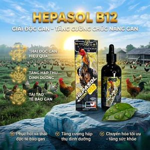 HEPASOL B12 - Giúp phục hồi, thải độc và tái tạo tế bào gan - thận, chuyển hóa hấp thu tối ưu chất dinh dưỡng (100ML)