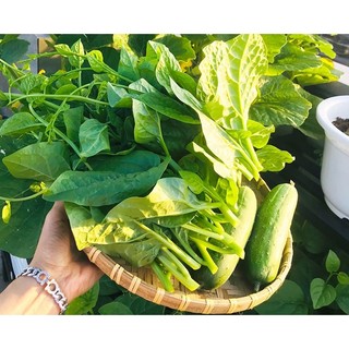 Đất Sạch Làm Nông Phố Cao Cấp (8 Thành Phần Trộn) Giàu Dinh Dưỡng Trồng Ngay Không Cần Phối Thêm 40Dm3