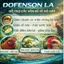 DOFENSON LA - Hỗ Trợ Xử Lý Hiệu Quả Các Vấn Đề Gà Khò Khè, Vảy Mỏ, Crd, CCRD, ORT, E.Coli,...
