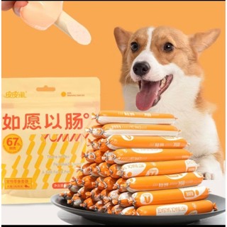 combo 5 bich lót chuồng chó mèo