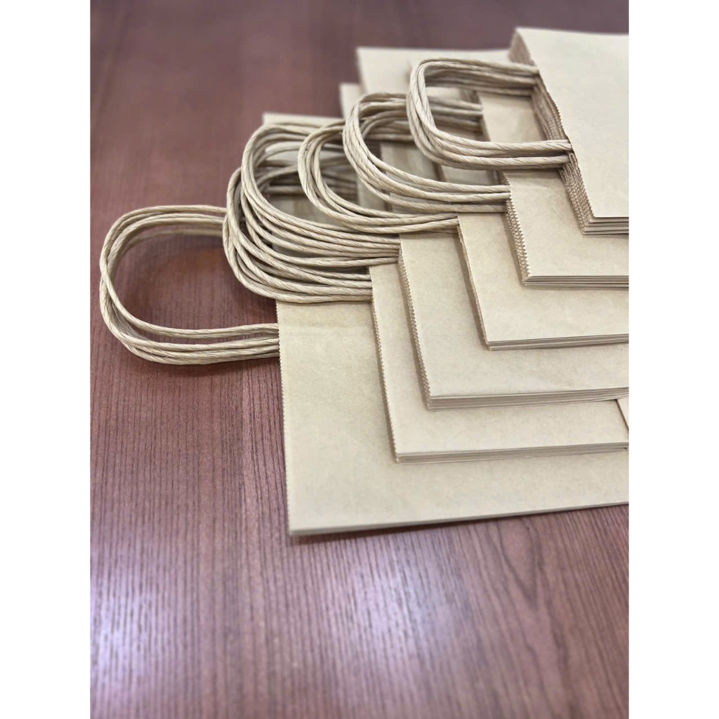 Sỉ 100 chiếc túi kraft nâu 70gsm, dn10