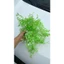 Túi 500g Cỏ Điểm Baby Cỏ Bi Cỏ Điểm Nhựa Trang Trí DUHA 141