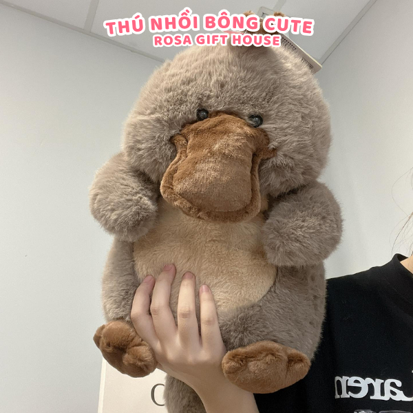 Gấu Bông Thú Mỏ Vịt 40cm Cao Cấp – Plush Toy Dễ Thương, Gối Ôm Siêu Mềm, Quà Tặng Hot Trend  - ROSA GIFT HOUSE