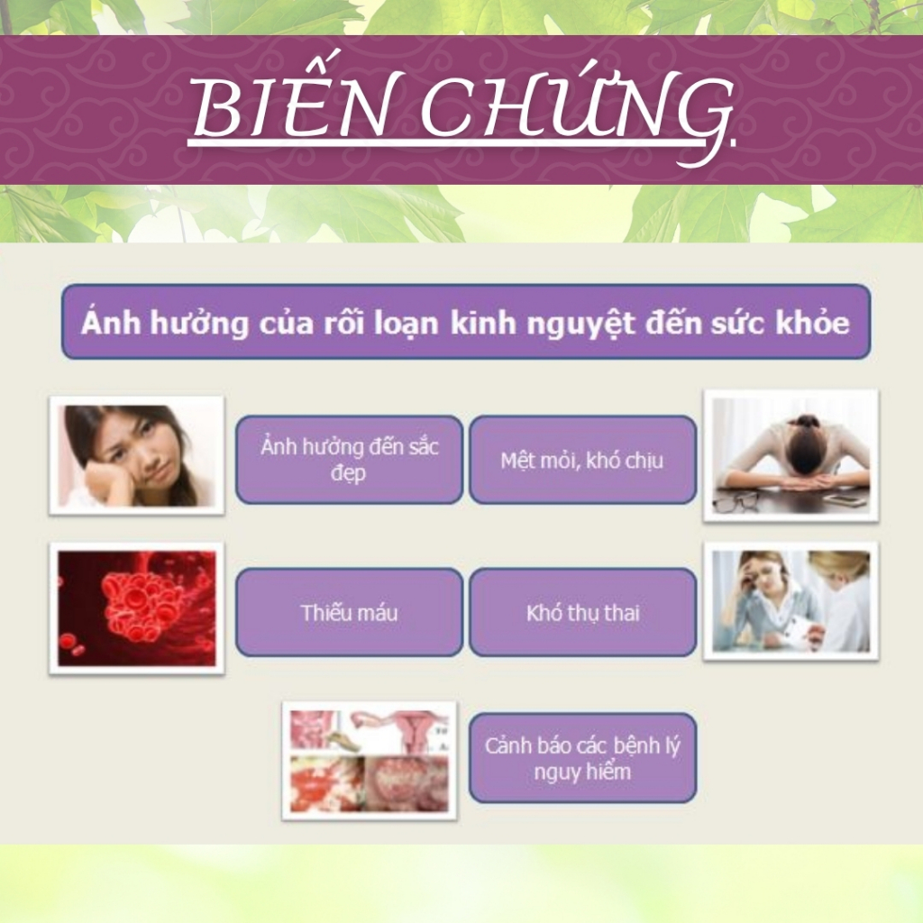 Hòa Bình Organic - Trà Túi Lọc Ích Mẫu, Ngải Cứu, Điều hòa nội tiết tố, điều trị rối loạn kinh nguyệt, chống lão hóa,