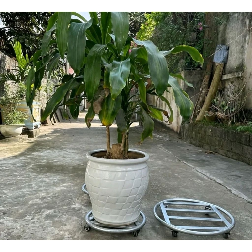 Kệ di chuyển chậu hoa cây cảnh  4 bánh xe chịu tải lên đến 300kg
