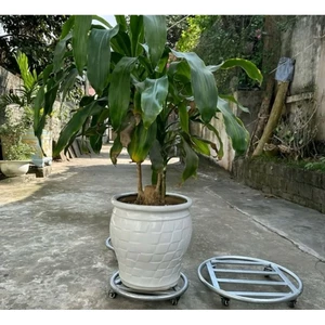 Kệ di chuyển chậu hoa cây cảnh 4 bánh xe chịu tải lên đến 300kg