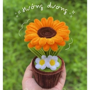 Chậu Hướng Dương Kẽm Nhung Mix Cúc Xinh Xắn