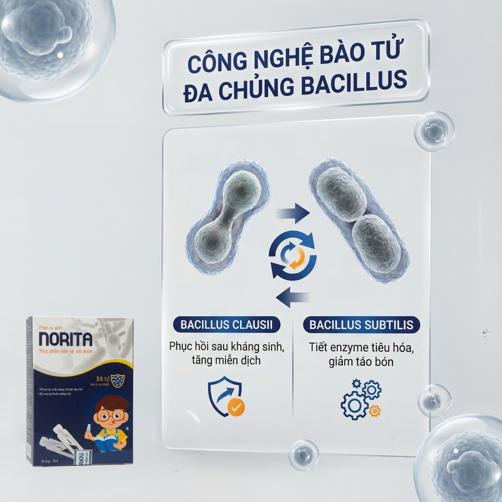 Combo 2 Hộp Men Vi Sinh Cho Bé NORITA Bổ Sung Bào Tử Lợi Khuẩn Hỗ Trợ Trẻ Ăn Ngon, Cải Thiện Táo Bón, Tiêu Hóa Kém