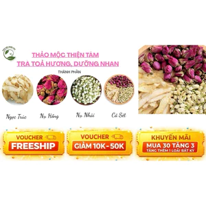 Trà Toả Hương Thơm Từ Bên Trong, Mua 30 Gói Tặng Ngay 3 Gói Và Tặng Thêm 1 Gói Trà Khác Loại Bất Kỳ - Thảo Mộc Thiện Tâm