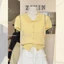 Áo LEN POLO CỔ SEN Nữ hàng Quảng Châu tay ngắn, cộc tay màu PASTEL [𝗦𝗮̆̃𝗻 𝗦𝗵𝗶𝗽] 𝗠𝘆𝗮 𝗛𝗮𝗻𝗼𝗶 Freesize <60kg