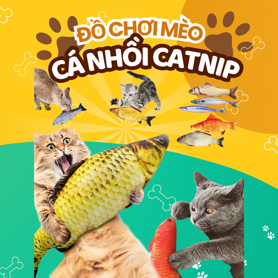 Cá Nhồi Canip Giúp Mèo Thư Giãn, Làm Sạch Răng