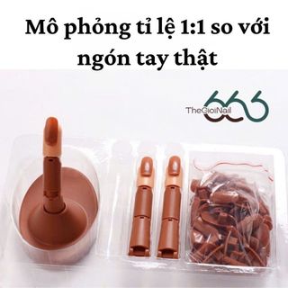 Bộ Khớp Ngón Tay Giả Luyện Tập Làm Nail Cao Cấp - Ngón Tay Silicon Tập Sơn Vẽ Linh Hoạt Cho Học Viên THEGIOINAIL666