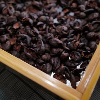[MEDIUM] Cà Phê Robusta Lumen – Đậm Sâu, Hậu Dài, Thơm – Rang Mộc Nguyên Chất