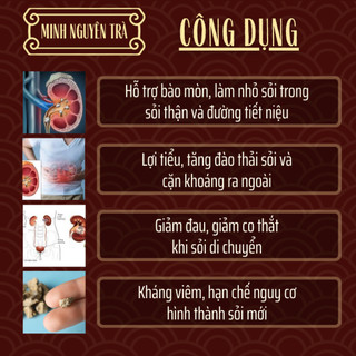 Trà Túi Lọc Tán Sỏi - Minh nguyên - Lợi Tiểu, Bài Tiết Sỏi Thận, Mật, Tiết Niệu, Bàng Quang, viêm nhiễm đau - 50 lọc