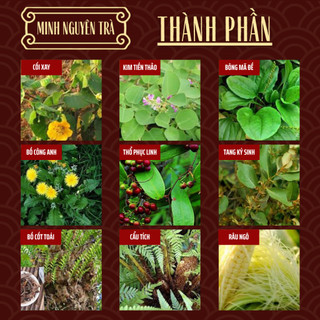Trà Túi Lọc Tán Sỏi - Minh nguyên - Lợi Tiểu, Bài Tiết Sỏi Thận, Mật, Tiết Niệu, Bàng Quang, viêm nhiễm đau - 50 lọc